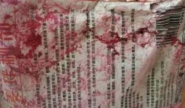 爆料二哈视频大全下载安装,笑料横生的萌犬瞬间