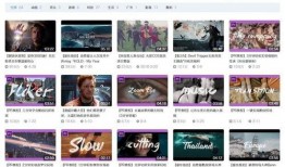 b站在线观看,解锁海量视频的精彩世界