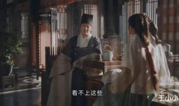 府后在线观看,揭秘府后故事，畅享云端观影之旅